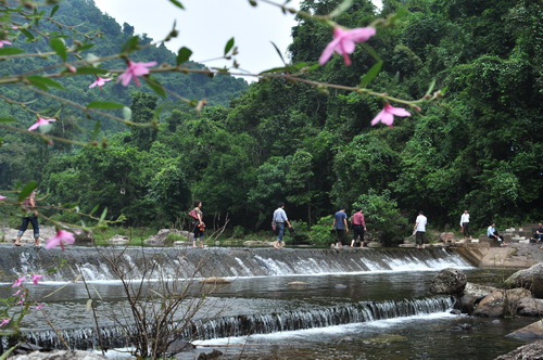 RUNG NGUYEN SINH KHE RO 2