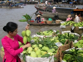 Sông nước Miền Tây