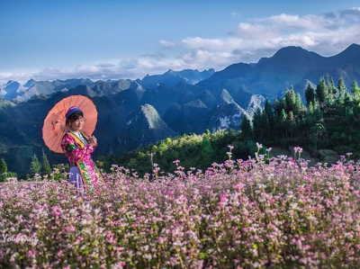 Mây trắng Hà Giang